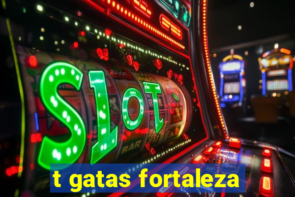 t gatas fortaleza